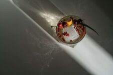 Beautifully shot cocktail in Austin Texas